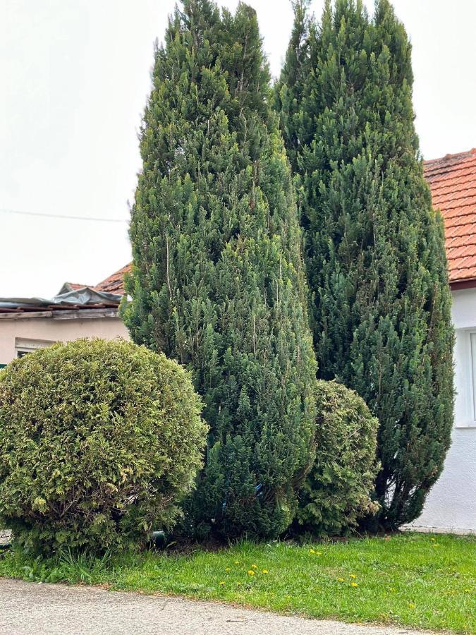 Apartmani Emily & Jully Nikšić Buitenkant foto
