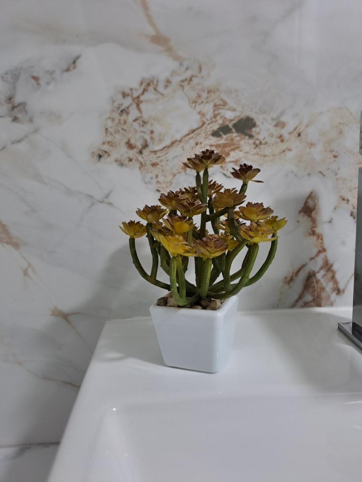Apartmani Emily & Jully Nikšić Buitenkant foto